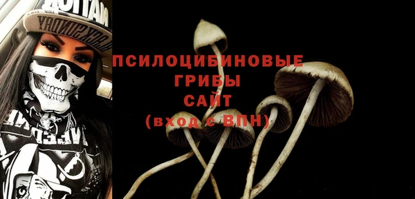 apvp Гусев