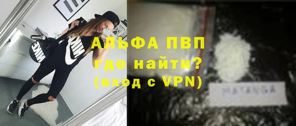 apvp Гусев