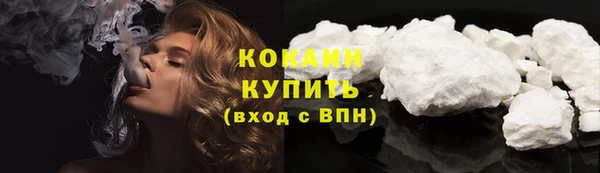 apvp Гусев