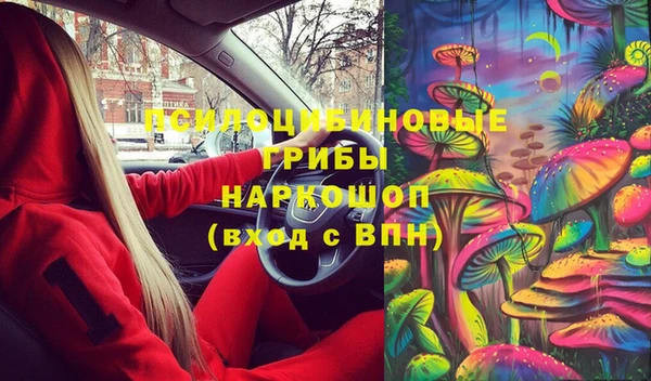 соль ск Гусиноозёрск