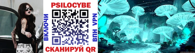Купить Кумертау Галлюциногенные грибы Cubensis